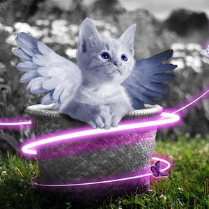 五月天综合激情
